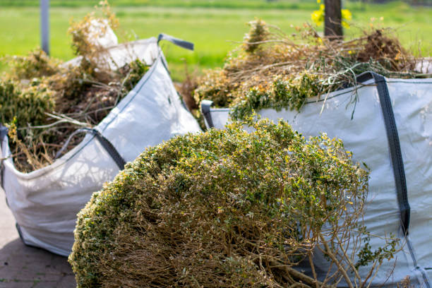 Same-Day Junk Removal Services in Juniper Canyon, OR